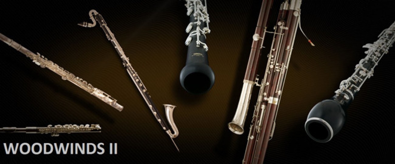 Woodwinds II VSL Vienna Symphonic Library